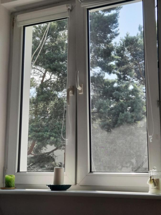 Zorzy Przy Instytucie Kardiologii Anin Butas Warsaw